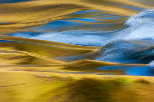 Textures;Shapes;Patterns;Abstractions;Abstract;Reflections;Reflection;Plant;Trunk;Bark;Leafy;Branches;Branch;Woodland;Herbaceous;Shrub;Bush;Trees;Tree Trunk;Brook;Creek;Rivulet;Streamlet;Stream;Rivers;River;Riverbed;Water;Flowing;waterway;stream;creek;brook